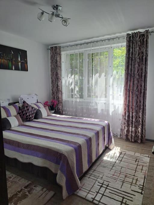 Casuta Cu Povesti Apartment กัมปีนา ภายนอก รูปภาพ